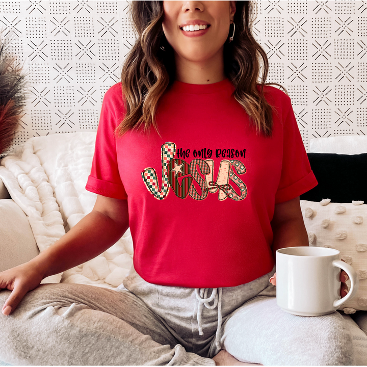 Jesus Is The Only Reason DTF Print