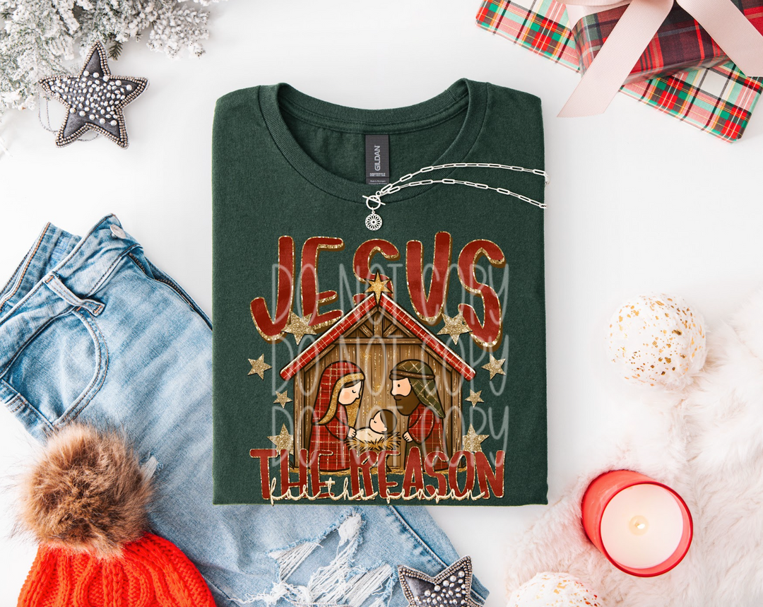 Jesus the Reason DTF Print