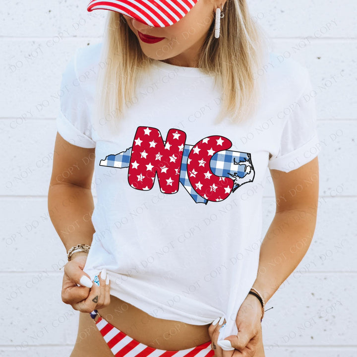 Gingham Stars Red White and Blue State DTF Print