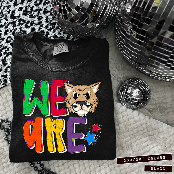 We Are Mascot Heads  DTF Print