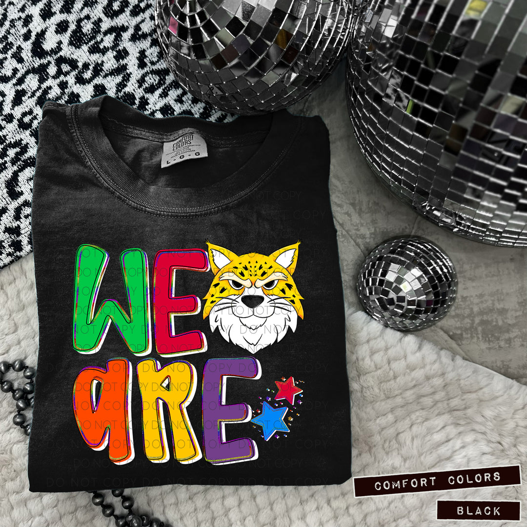We Are Mascot Heads  DTF Print
