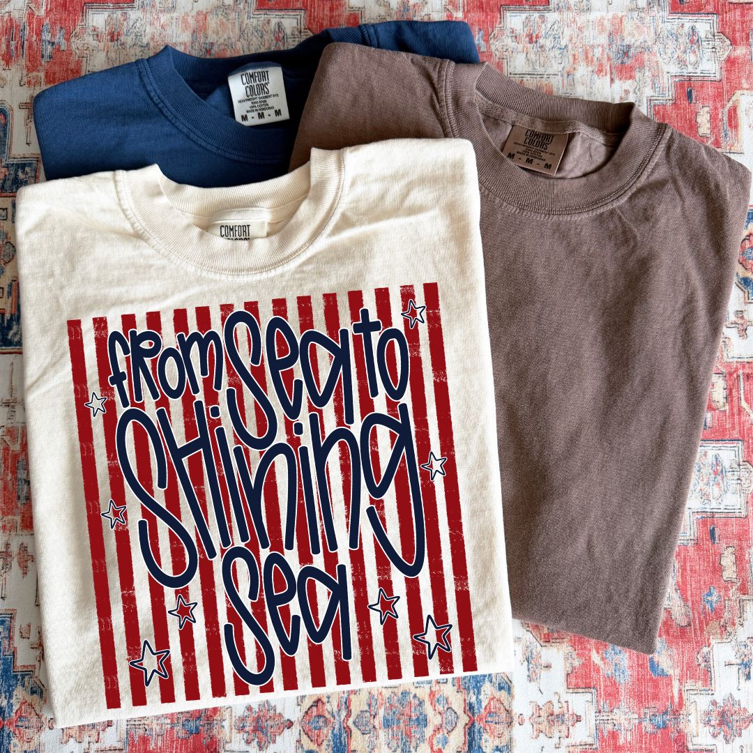 From Sea To Shining Sea Blue Red DTF Print