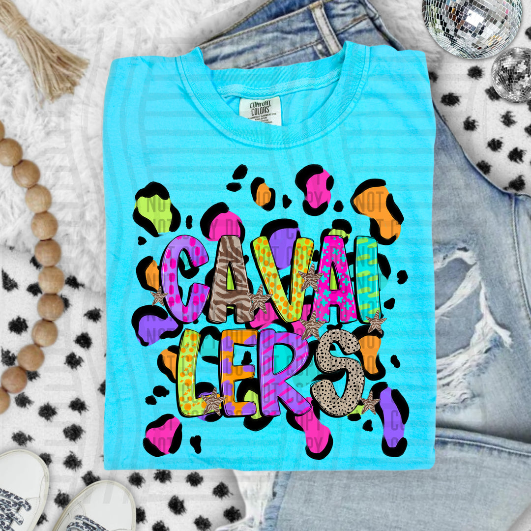 Funky Mix Up Leopard Spots DTF Print