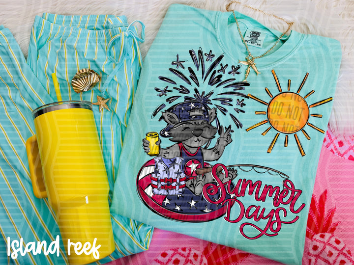 Summer Days 4th DTF Print