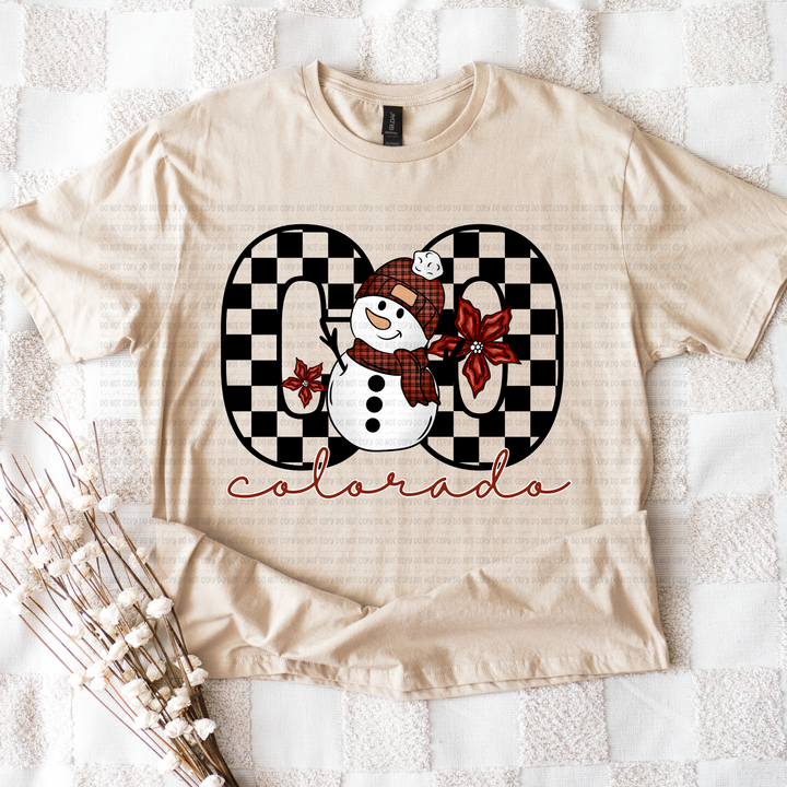 Snowman States DTF Print