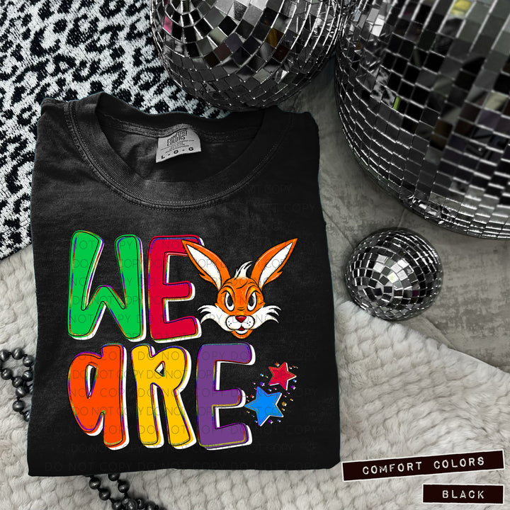 We Are Mascot Heads DTF Print
