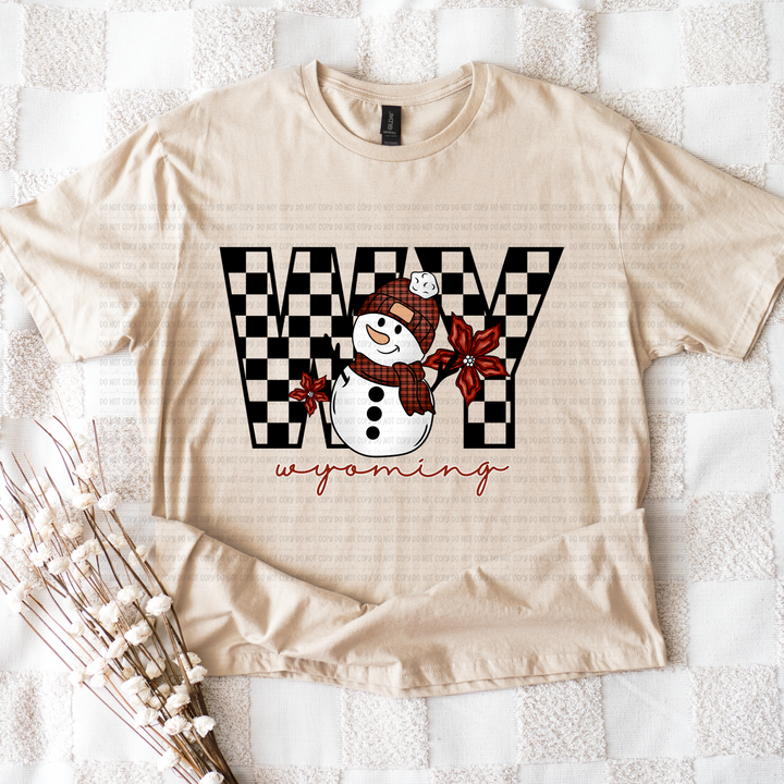 Snowman States DTF Print