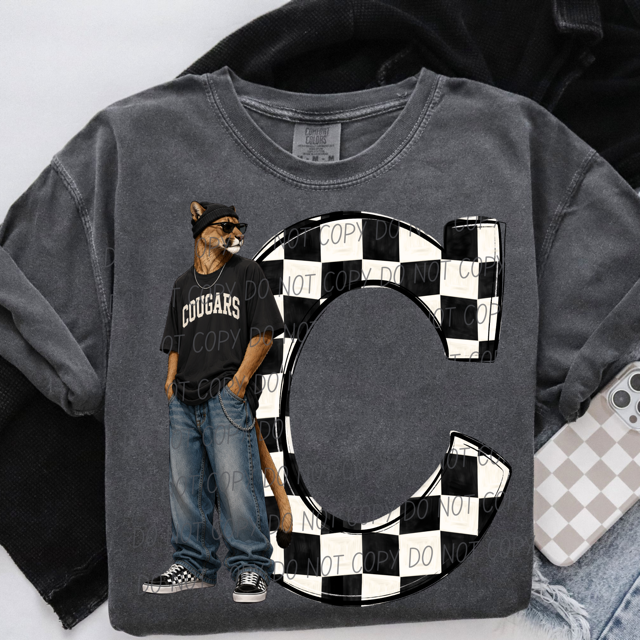 Sideline Streetwear DTF Print