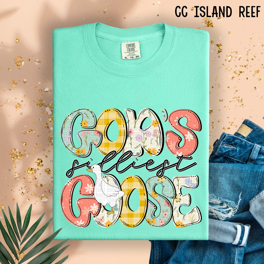 God’s Silliest Goose DTF Print