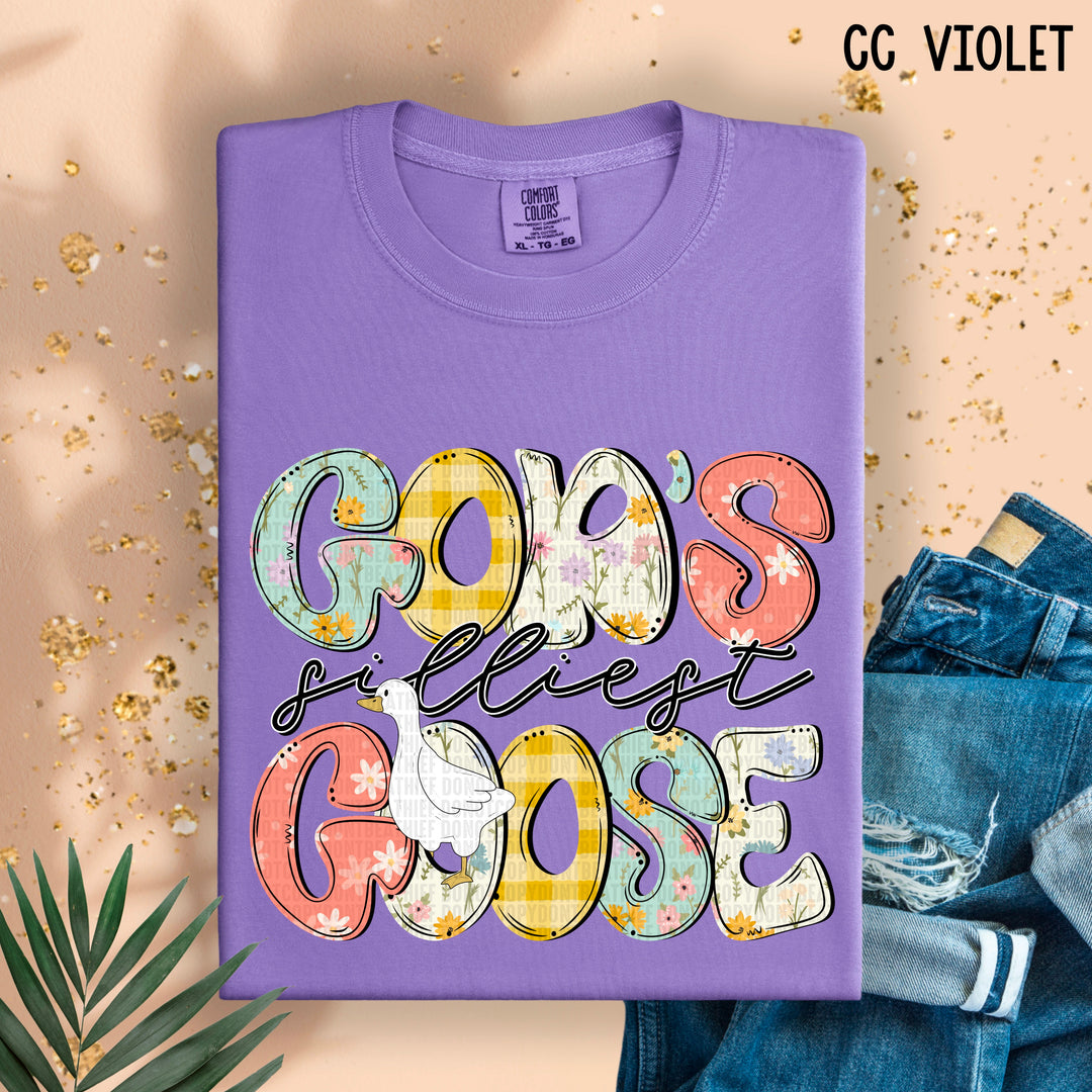 God’s Silliest Goose DTF Print
