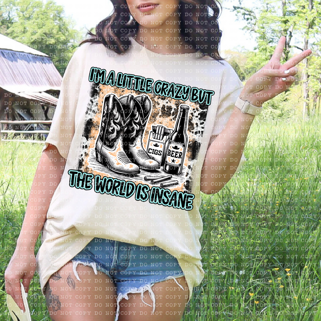I'm a Little Crazy DTF Print