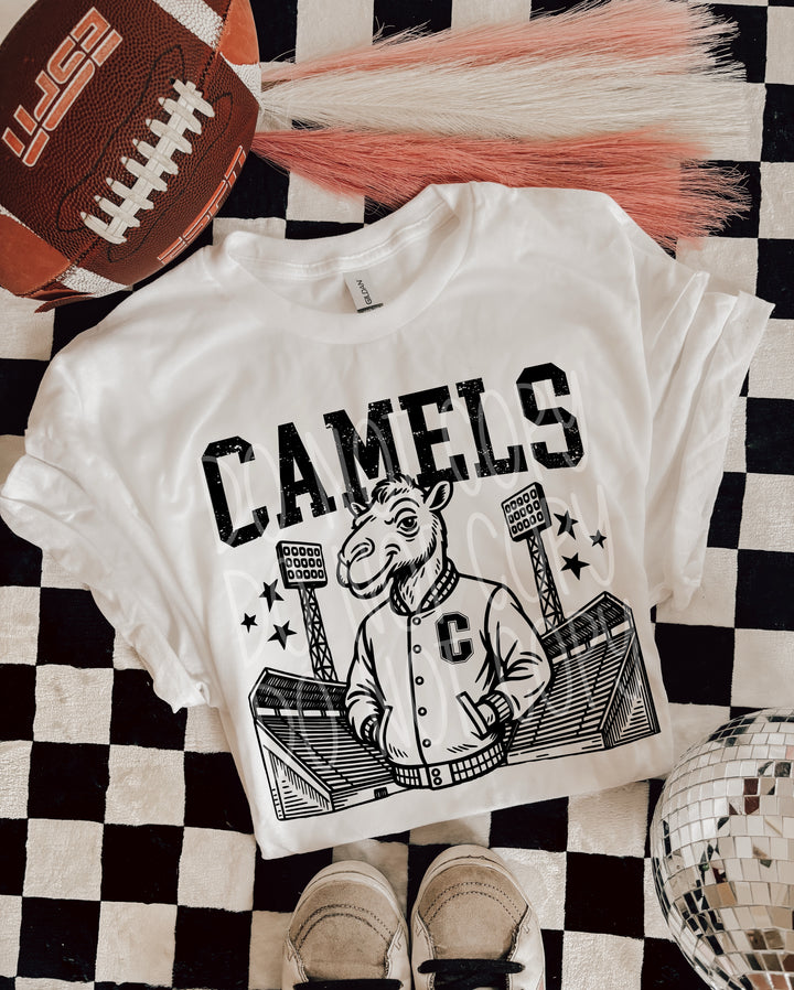 Letterman Mascots A-P DTF Print