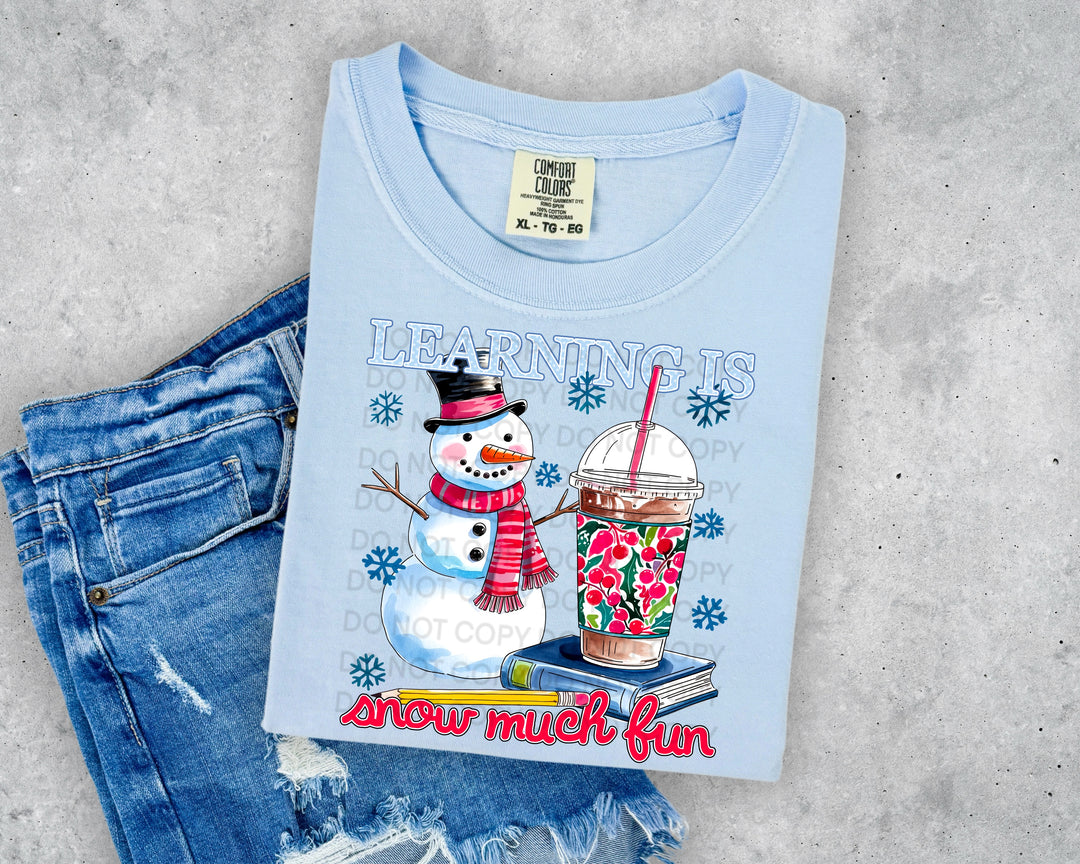 Learning Is Snow Much Fun DTF Print