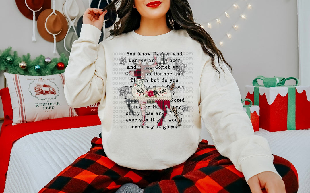 Rudolph Patchwork DTF Print