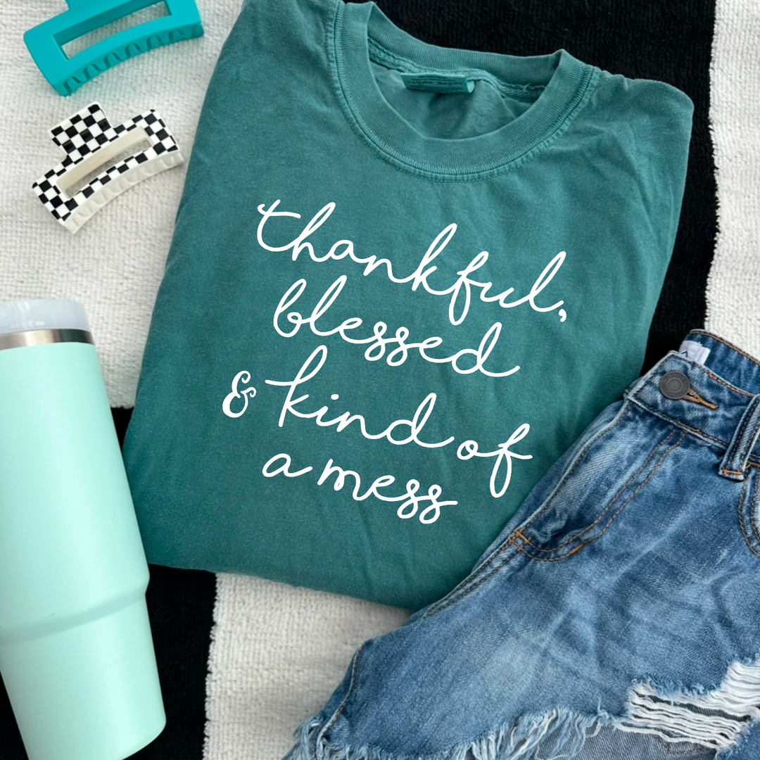 Thankful Blessed & Kind Of A Mess DTF Print