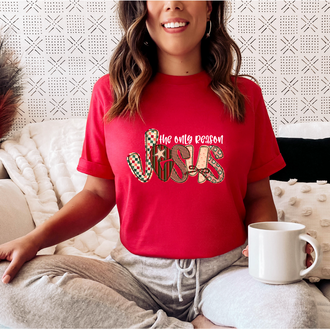 Jesus Is The Only Reason DTF Print