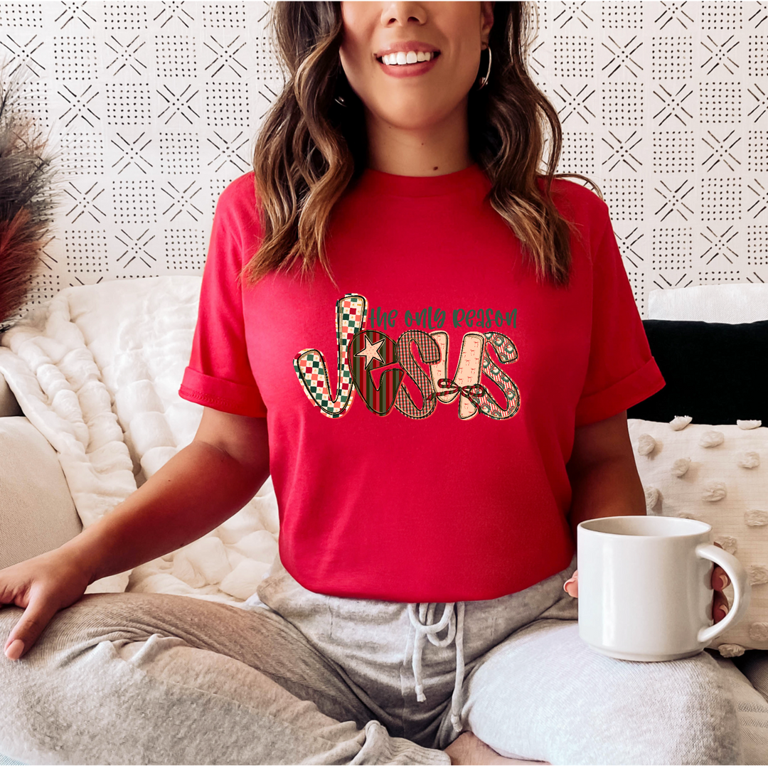Jesus Is The Only Reason DTF Print