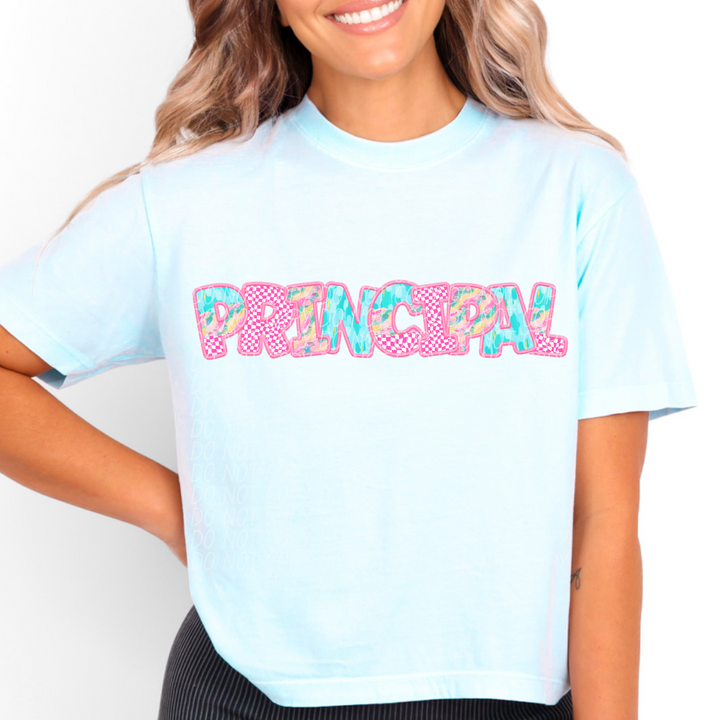 Spring School Careers DTF Print
