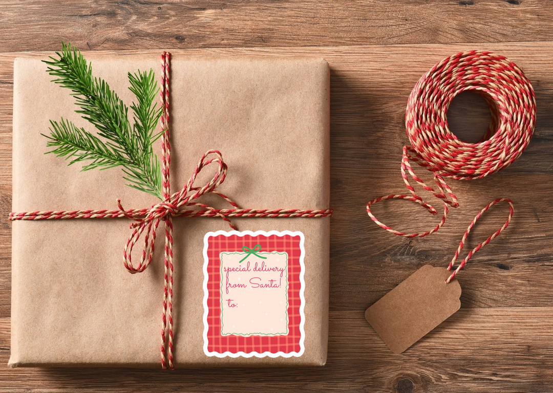 Pink and Preppy Special Delivery From Santa Die Cut Stickers