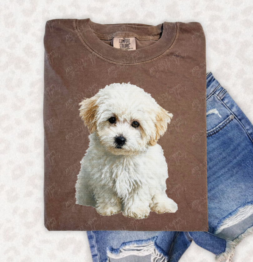 Needlepoint Pets DTF Print