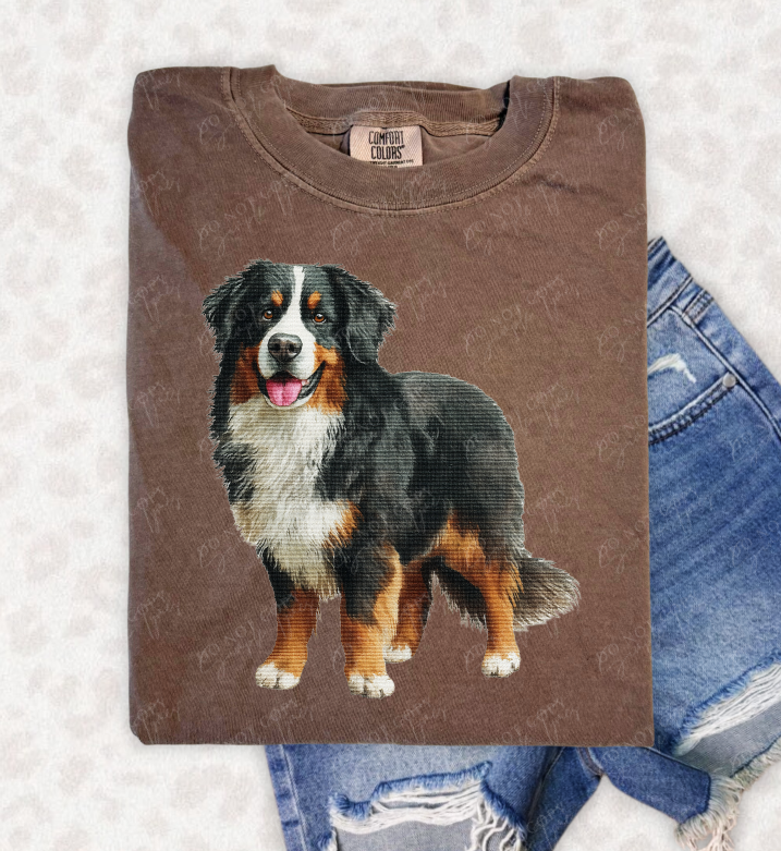 Needlepoint Pets DTF Print