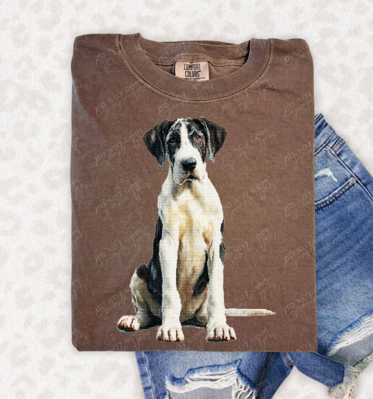 Needlepoint Pets DTF Print