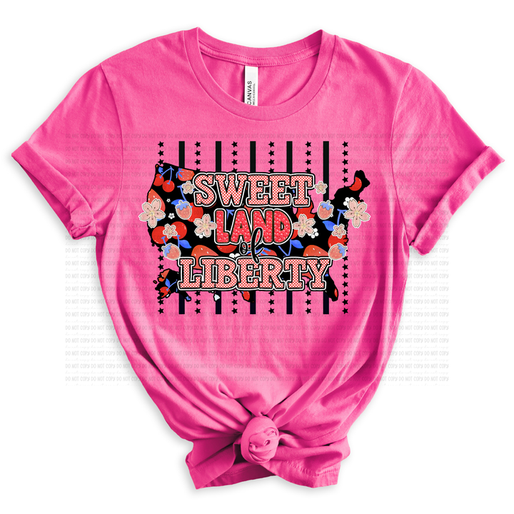 Sweet Land Of Liberty Lines DTF Print