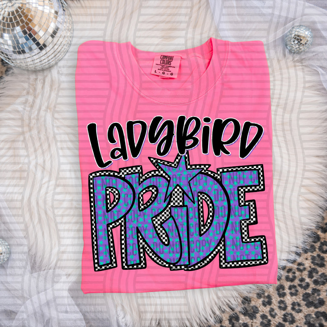 Preppy Star Pride Mascots DTF Print