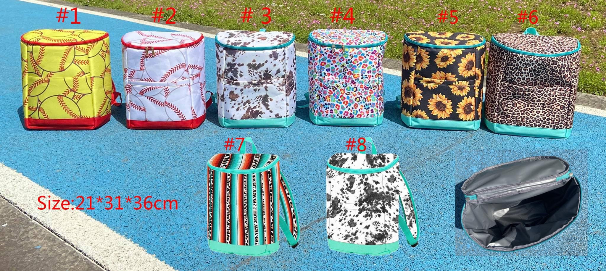 RTS Insulated Colorful Backpack Tote Cooler